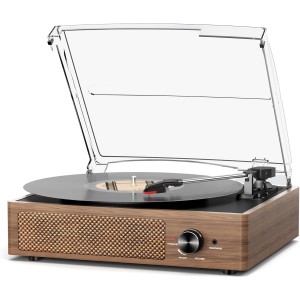 Timeless Wooden Turntable